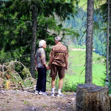 Tannenzapfen * Seiffen